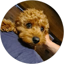Isaac profile picture